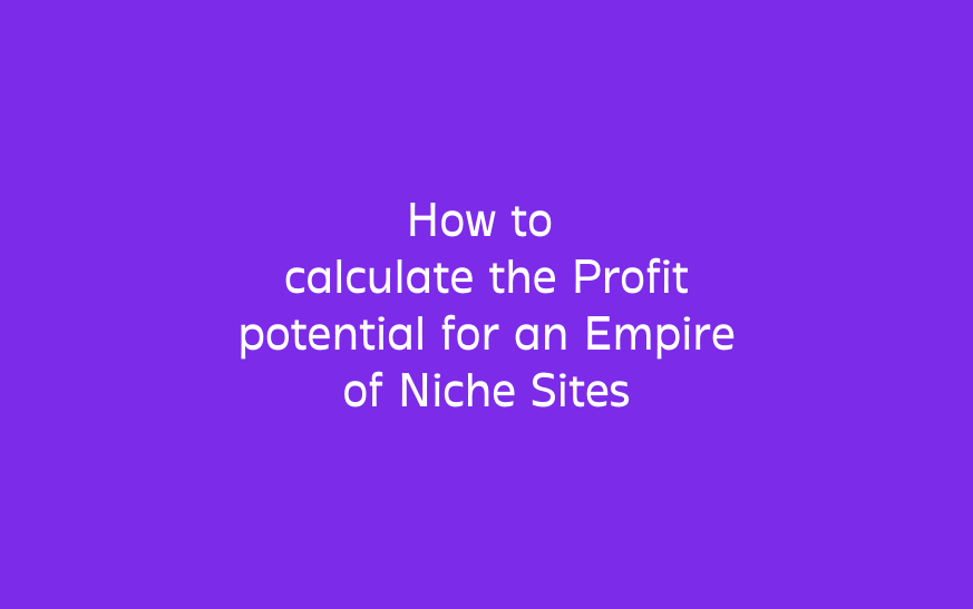 How to calculate the Profit potential for an Empire of Niche Sites