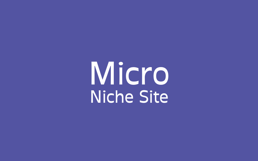 Micro Niche Site